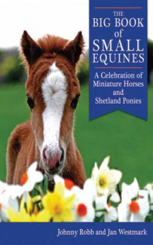 Buch Big Book of Small Equines Johnny Robb