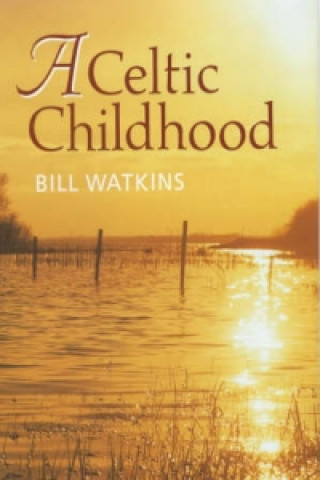 Книга Celtic Childhood Bill Watkins