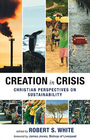 Kniha Creation in Crisis Robert White