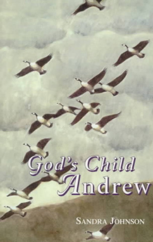 Kniha God's Child Andrew Sandra Johnson