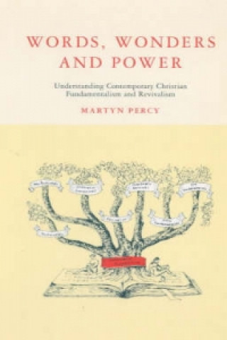 Kniha Words-Wonders And Power Martyn Percy