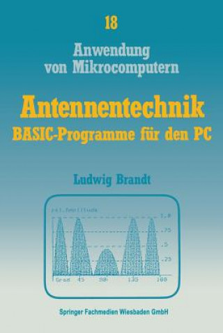 Livre Antennentechnik Ludwig Brandt