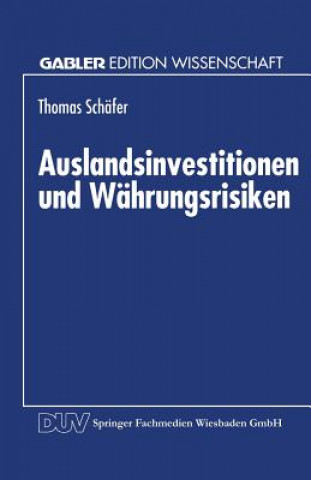 Carte Auslandsinvestitionen Und Wahrungsrisiken Thomas Schäfer