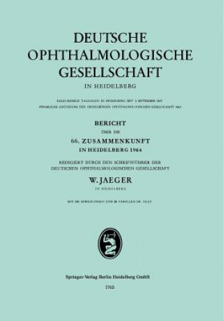 Könyv Bericht UEber Die 66. Zusammenkunft in Heidelberg 1964 Wolfgang Jaeger