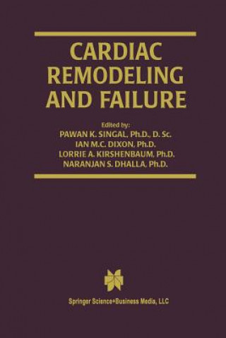 Kniha Cardiac Remodeling and Failure Naranjan S. Dhalla