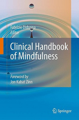 Kniha Clinical Handbook of Mindfulness Fabrizio Didonna