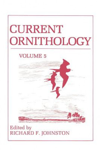 Libro Current Ornithology Richard Johnston