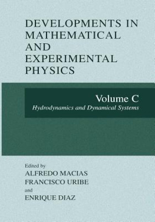 Kniha Developments in Mathematical and Experimental Physics Enrique Diaz