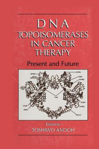 Könyv DNA Topoisomerases in Cancer Therapy Toshiwo Andoh