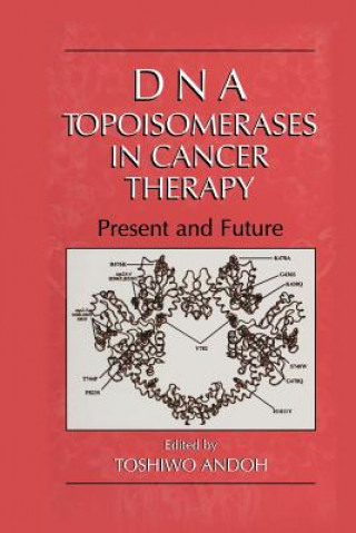 Kniha DNA Topoisomerases in Cancer Therapy Toshiwo Andoh