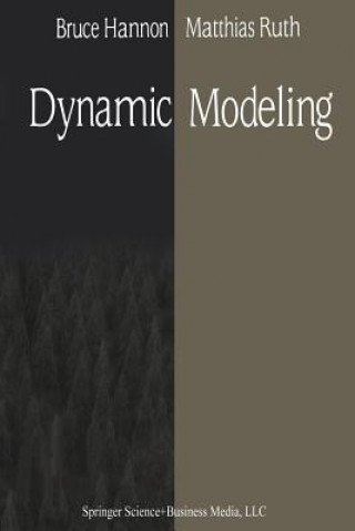 Книга Dynamic Modeling Matthias Ruth