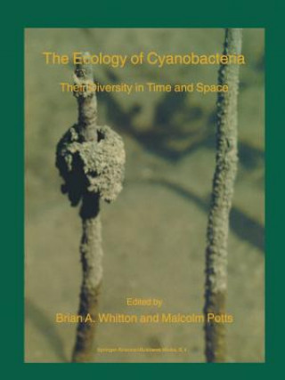 Könyv Ecology of Cyanobacteria M. Potts