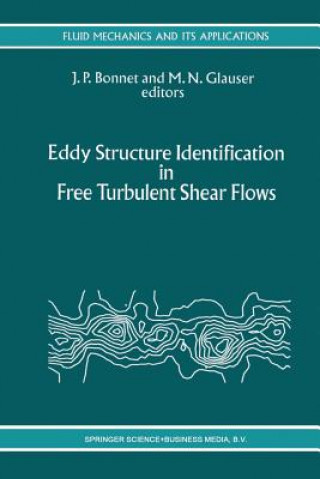 Książka Eddy Structure Identification in Free Turbulent Shear Flows J. P. Bonnet