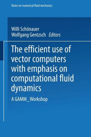 Kniha Efficient Use of Vector Computers with Emphasis on Computational Fluid Dynamics Brian McLernon