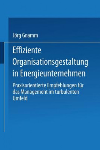 Carte Effiziente Organisationsgestaltung in Energieunternehmen Jorg Gnamm