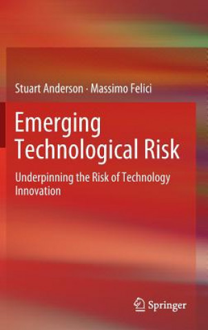 Livre Emerging Technological Risk Massimo Felici