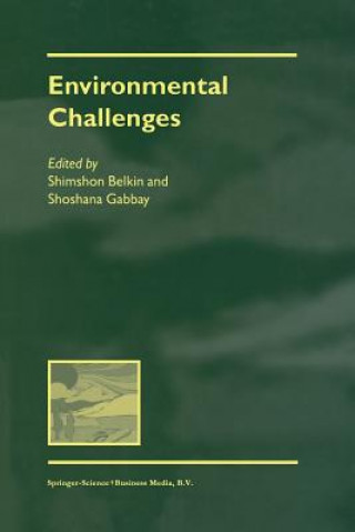 Könyv Environmental Challenges Shimson Belkin