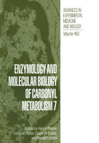 Könyv Enzymology and Molecular Biology of Carbonyl Metabolism 7 David W. Crabb