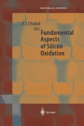 Kniha Fundamental Aspects of Silicon Oxidation Yves J. Chabal