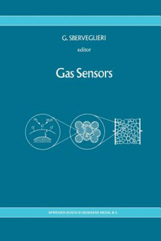 Carte Gas Sensors G. Sberveglieri