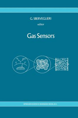 Buch Gas Sensors G. Sberveglieri