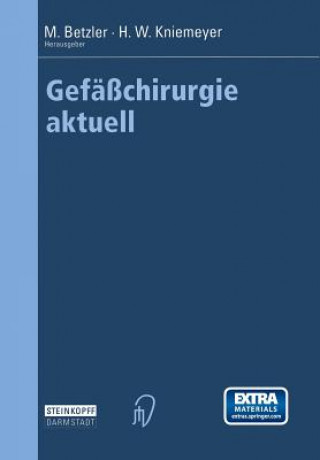 Carte Gefäßchirurgie aktuell, m. CD-ROM Michael Betzler