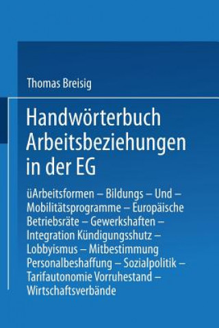 Kniha Handwoerterbuch Arbeitsbeziehungen in Der Eg Thomas Breisig