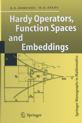 Libro Hardy Operators, Function Spaces and Embeddings William D. Evans