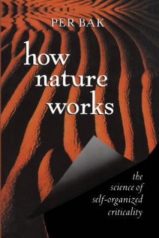 Buch How Nature Works P Bak