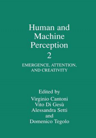 Könyv Human and Machine Perception 2 Virginio Cantoni