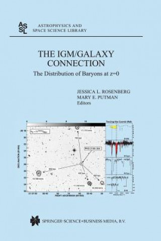 Buch IGM/Galaxy Connection Mary E. Putman