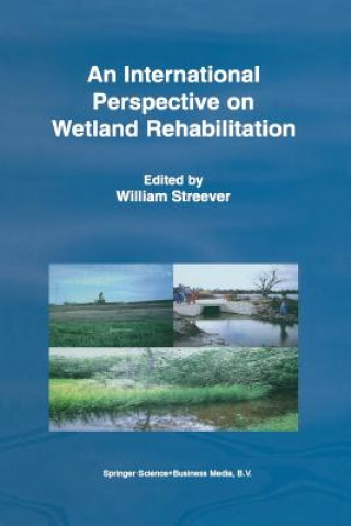 Carte International Perspective on Wetland Rehabilitation W. J. Streever