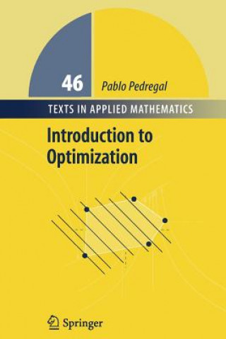 Könyv Introduction to Optimization Pablo Pedregal