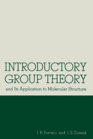 Kniha Introductory Group Theory Joseph S. Ziomek