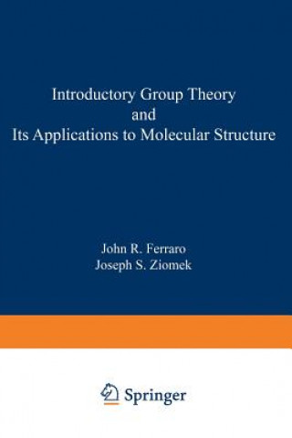 Kniha Introductory Group Theory and Its Application to Molecular Structure John R. Ferraro