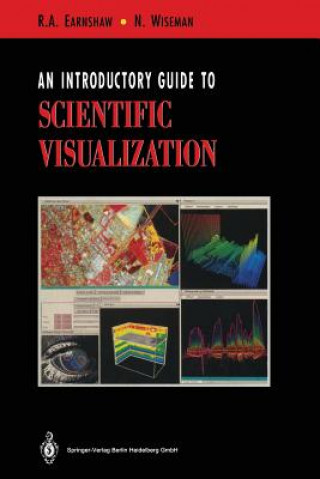 Kniha Introductory Guide to Scientific Visualization Norman Wiseman