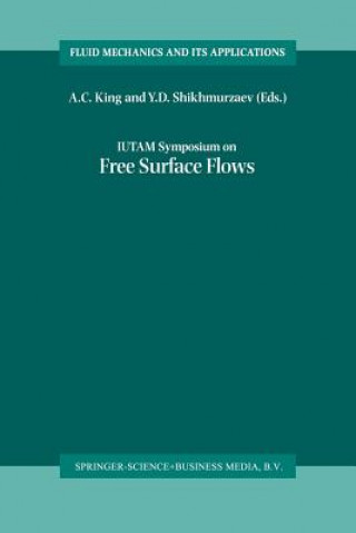 Buch IUTAM Symposium on Free Surface Flows A. C. King