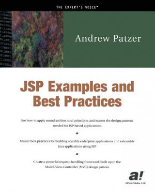 Buch JSP Examples and Best Practices Andrew Patzer