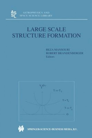 Книга Large Scale Structure Formation Robert Brandenberger