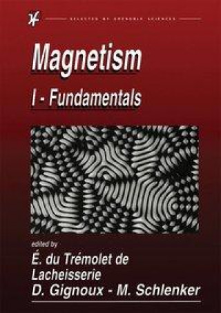 Knjiga Magnetism University Joseph Fourier