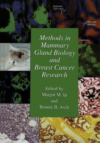 Książka Methods in Mammary Gland Biology and Breast Cancer Research Bonnie B. Asch