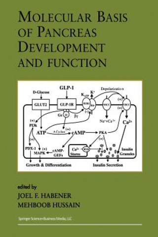 Könyv Molecular Basis of Pancreas Development and Function Joel F. Habener