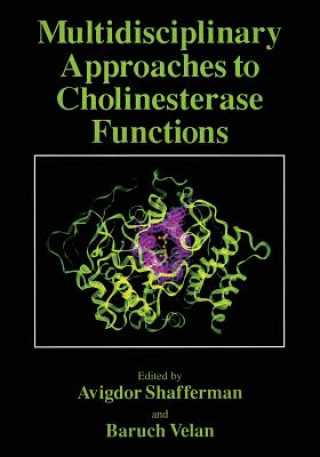 Kniha Multidisciplinary Approaches to Cholinesterase Functions Avigdor Shafferman