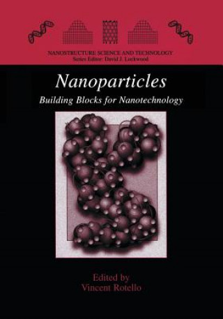 Βιβλίο Nanoparticles Vincent Rotello