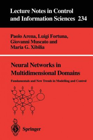 Carte Neural Networks in Multidimensional Domains Maria G. Xibilia