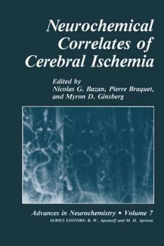 Kniha Neurochemical Correlates of Cerebral Ischemia Nicolas G. Bazan