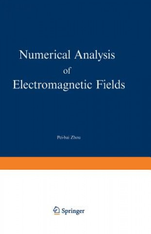 Carte Numerical Analysis of Electromagnetic Fields Pei-bai Zhou