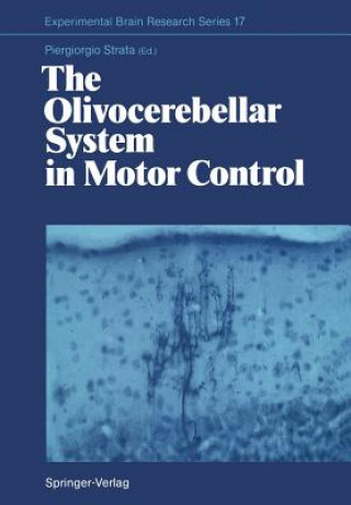 Kniha Olivocerebellar System in Motor Control Piergiorgio Strata