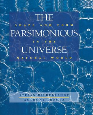 Książka Parsimonious Universe Anthony Tromba