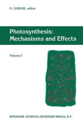 Książka Photosynthesis: Mechanisms and Effects Gyözö Garab